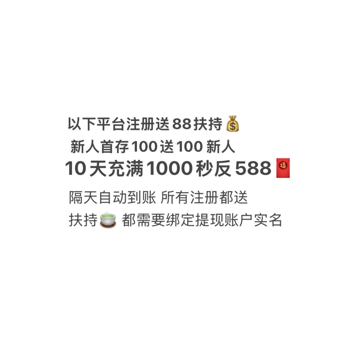 新人必红